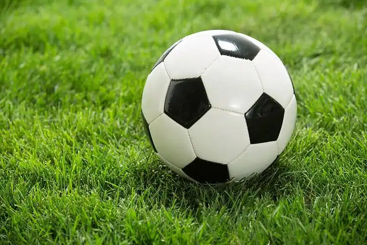 即时篮球比分查询多平台展示